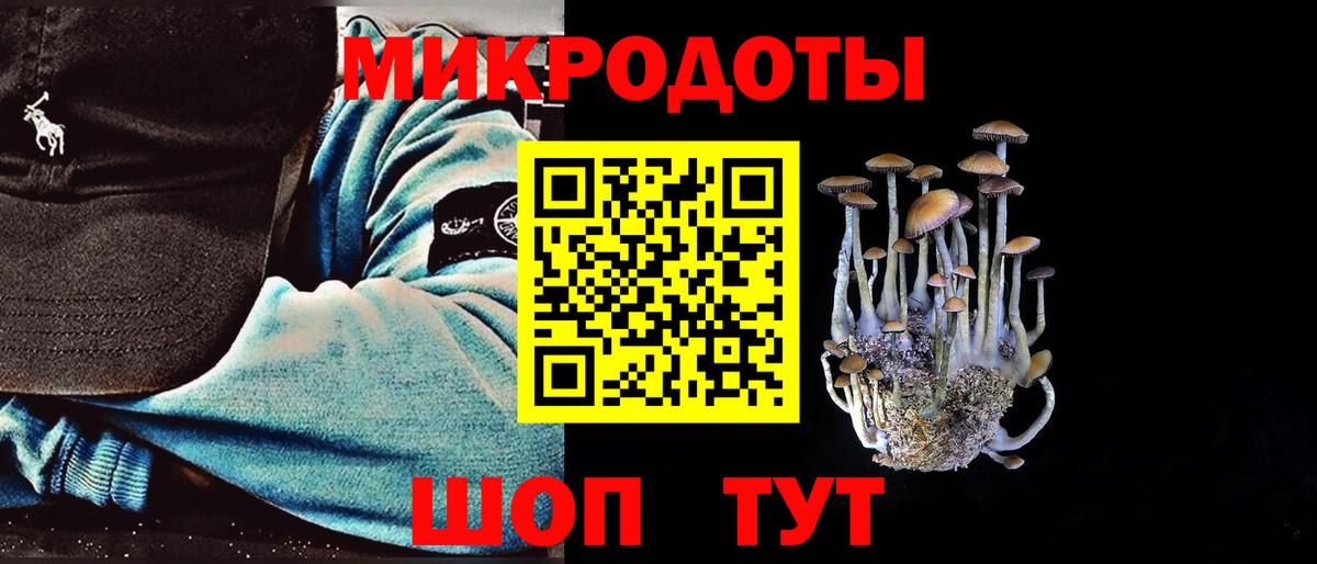 Галлюциногенные грибы прущие грибы  купить  сайты  Алейск  Вход с VPN 