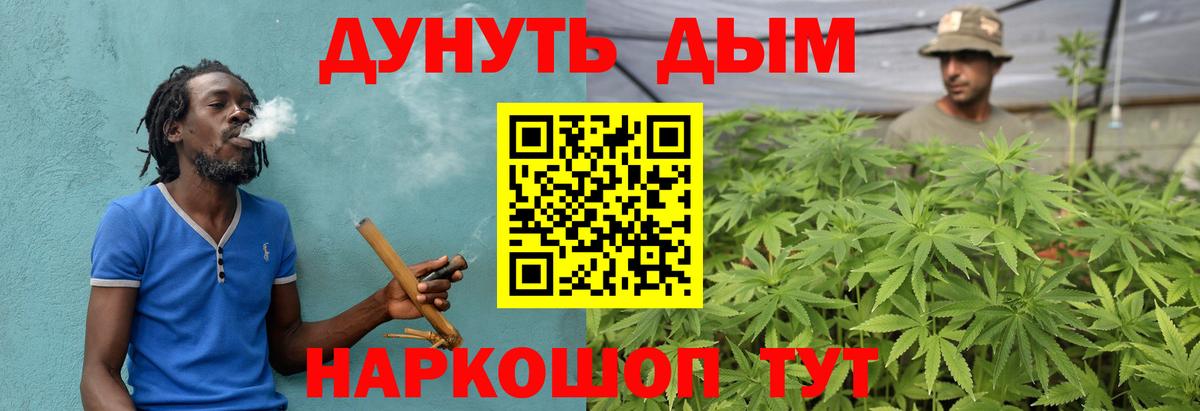 Канабис гибрид Алейск